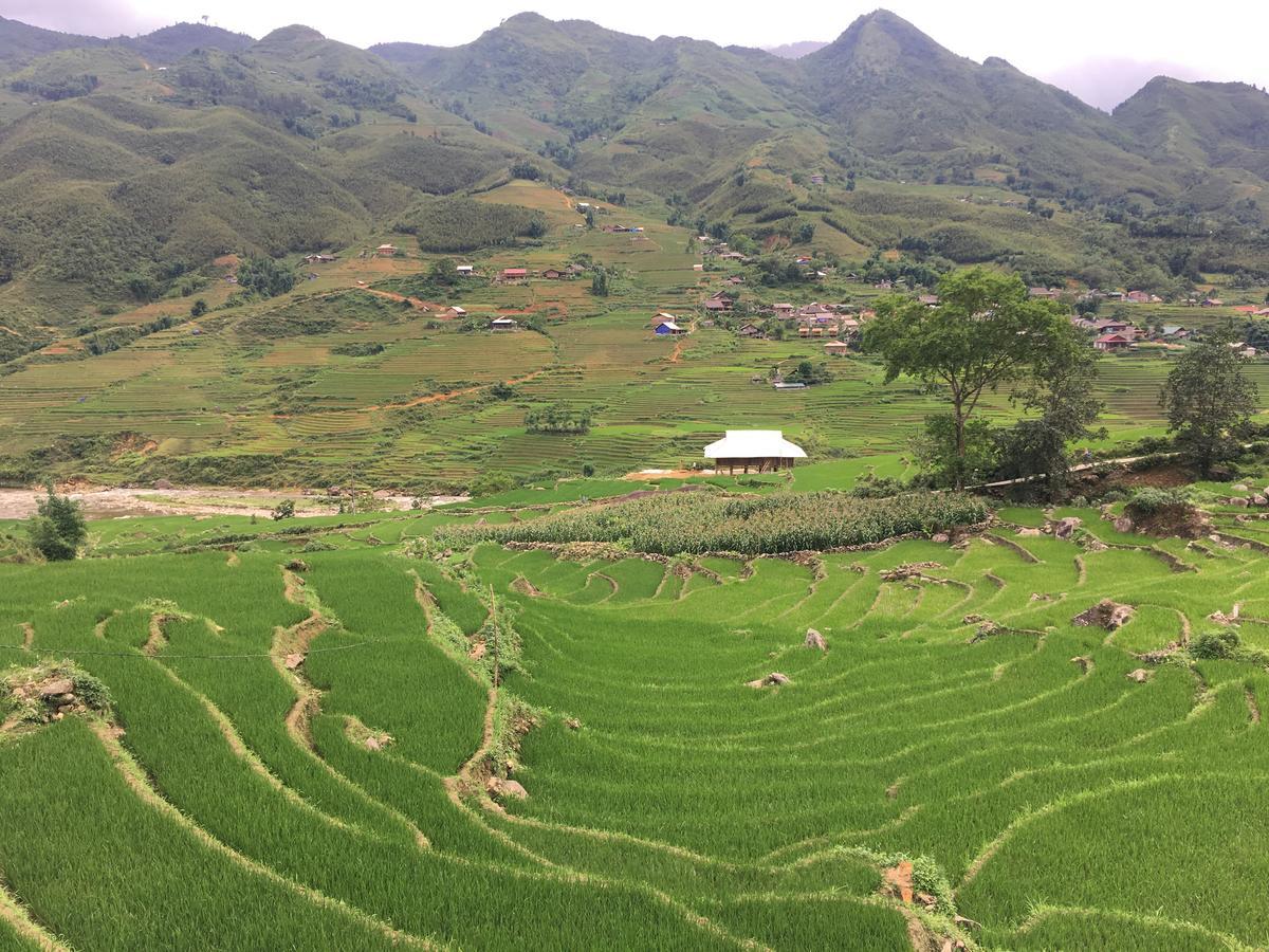 Hoa'S Homestay Sapa Esterno foto