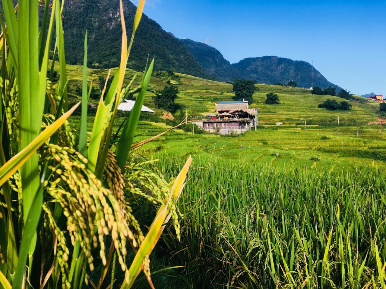 Hoa'S Homestay Sapa Esterno foto